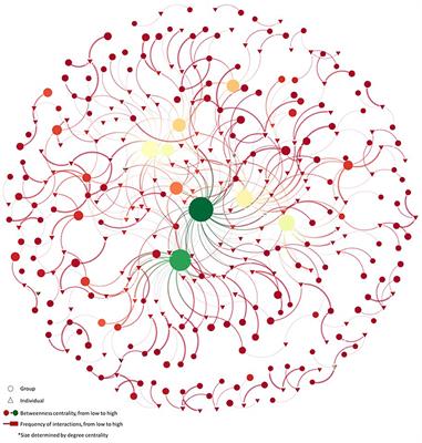 Mapping social movements momentum: unveiling networks in the movement for the right to abortion in Mexico